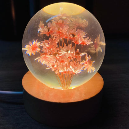 Flower Crystal Ball Night Lamp, Preserved Flower Daisy Clear Glass Ball Night Light with Wood Base, 2.4 inch Decoration Light for Bedroom Living Room Decor Housewarming Unique Gift - Red Daisy