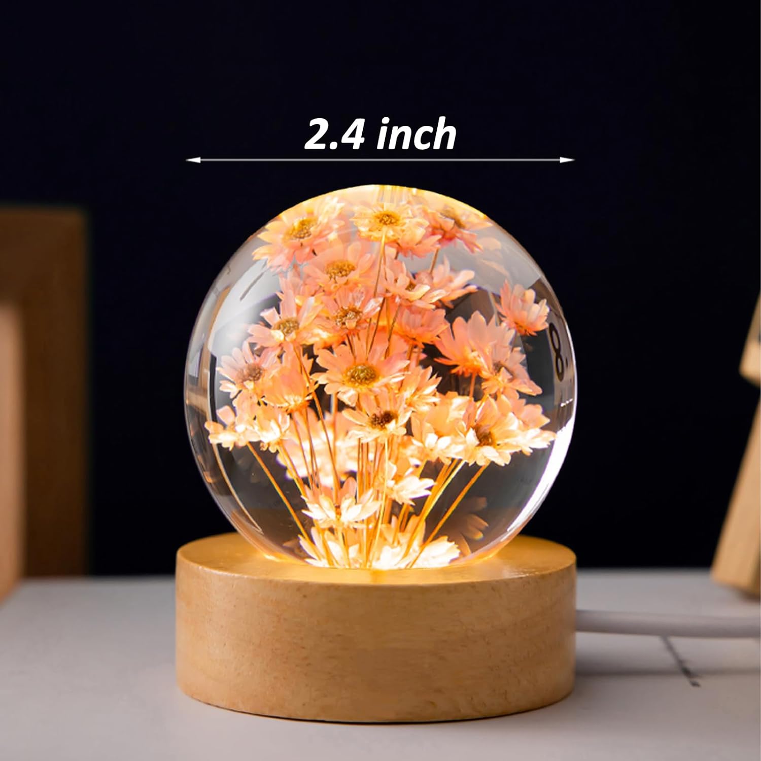 Flower Crystal Ball Night Lamp, Preserved Flower Daisy Clear Glass Ball Night Light with Wood Base, 2.4 inch Decoration Light for Bedroom Living Room Decor Housewarming Unique Gift - Red Daisy